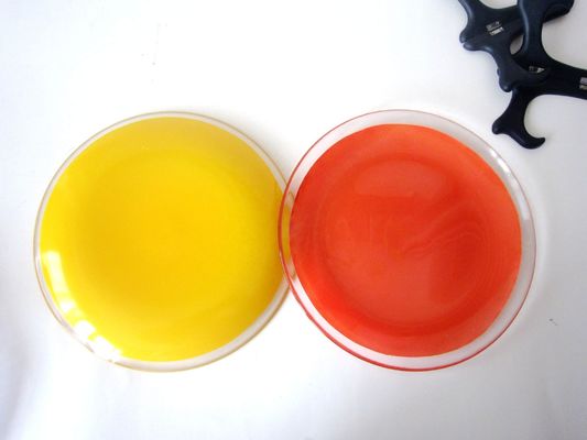 chất lượng 10 Inch Transparent Edge Tinting Color Glass Charger Plates nhà máy sản xuất